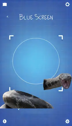 COBRA GIGANTE