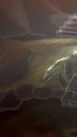 Scorpion 