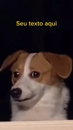 Meme cachorro
