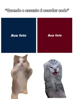 Quem são esses!? 