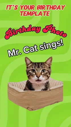 Mr. Cat Birthday