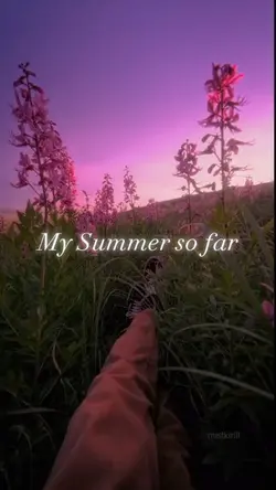 My Summer so far