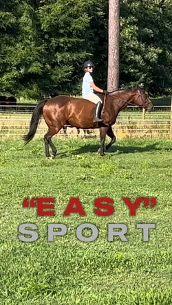 “Easy sport”