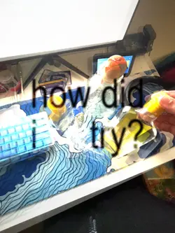 how hard i try