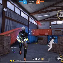 highlights