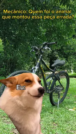 mecânico:quem foi o 