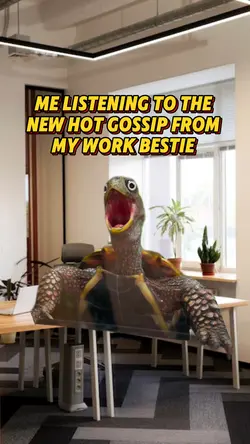 Shocked turtle 