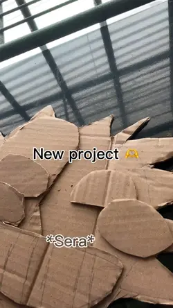 Project 