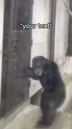 Monkey wanting out