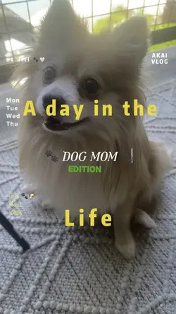 Day in the life