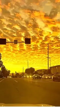 Yellow sky