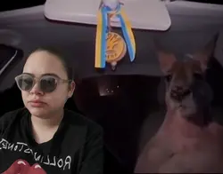 Vibing with a 🦘