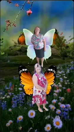 trend borboleta