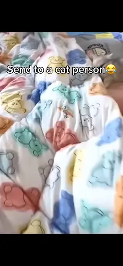 Cute cats