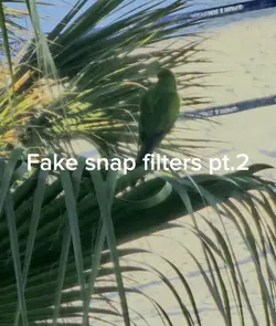 Fake snap pt.2