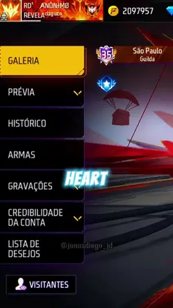 Perfil do FF