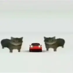This is a..