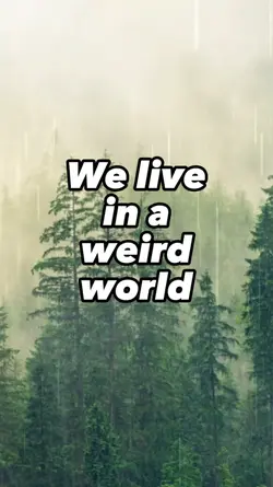 Weird world