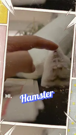 Hamster