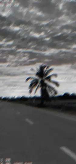 cool filter trend