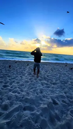 Playa Miami  Beach 