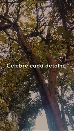 Fundo aesthetic 
