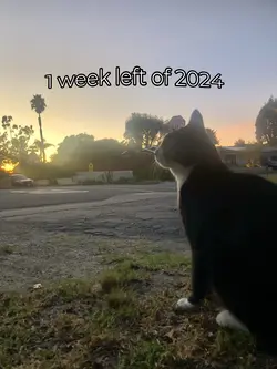 2024