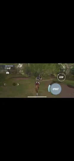 Cross countr