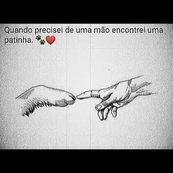 Encontrei uma 🐾