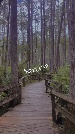 nature photo dump!