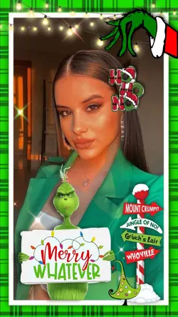Frame grinch