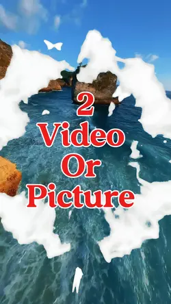 2 video or picture 
