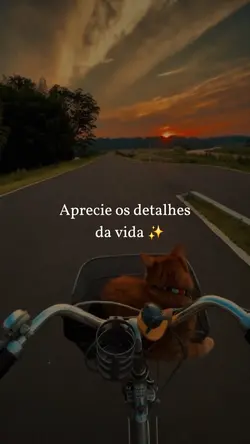 DETALHES DA VIDA