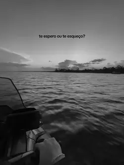 live photo + frase