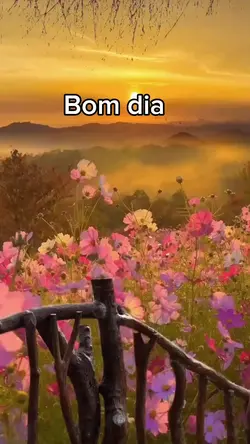 Bom dia 