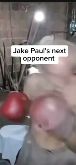 Jake's next fight 