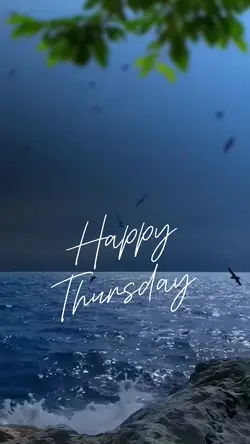 Happy Thursday vibes