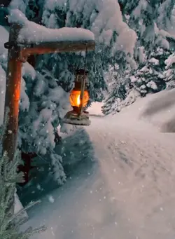 Winter frame