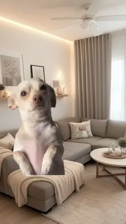 Cachorro tremendo
