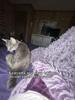 me fr-