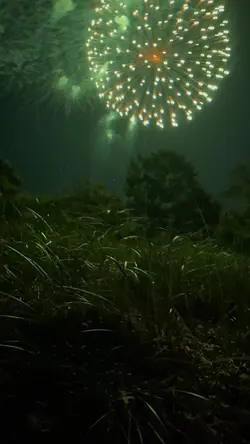 🎇 
