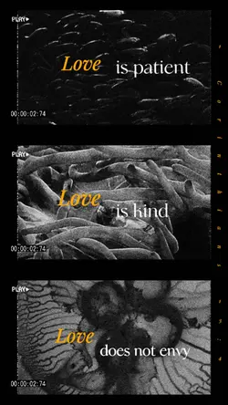 Love is...