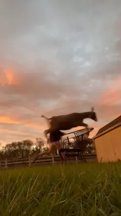 The real jumper.