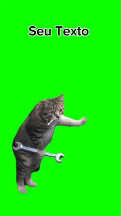 meme gato mecânico 