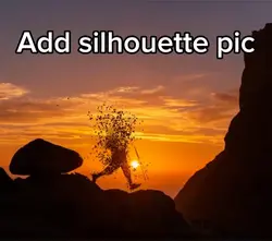 Silhouette dissolve