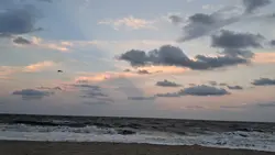 Beach Vibes