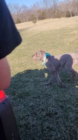 Ralphie!!!