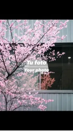 Usa un clip 