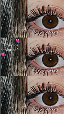 👁️