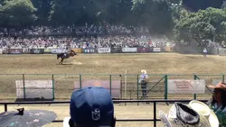 Bronc Riding